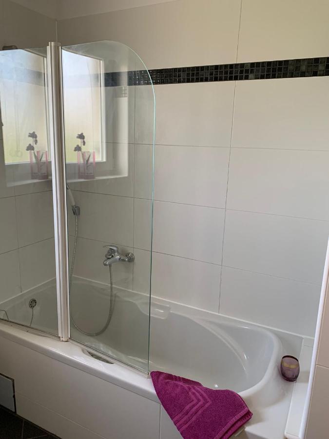 Haus Sunshine Villa Novigrad Istria Eksteriør bilde