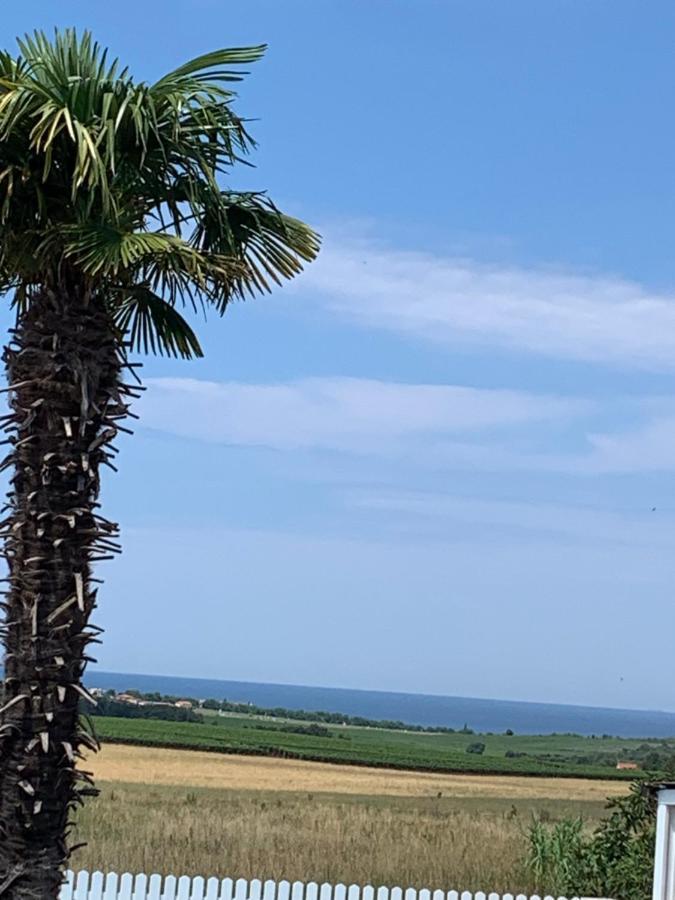 Haus Sunshine Villa Novigrad Istria Eksteriør bilde